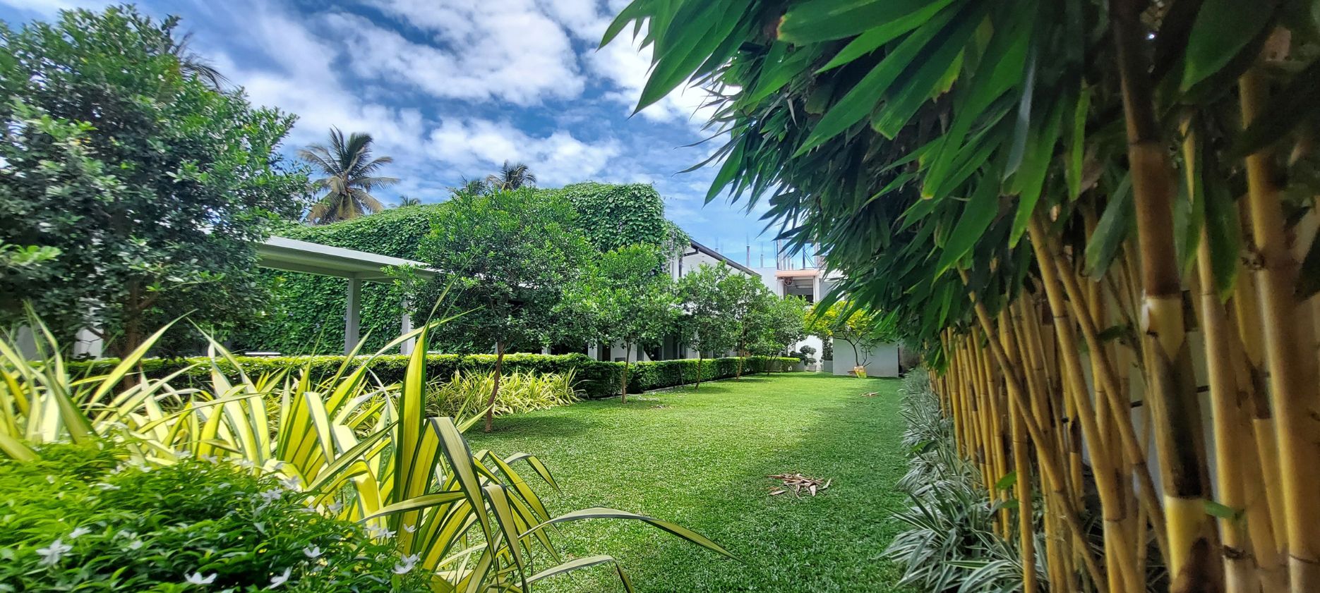 Garden and Surroundings
