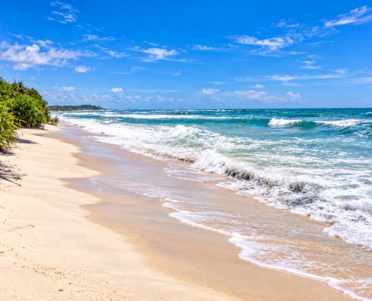 Calido Beach near Garden Beach Hotel Kalutara
